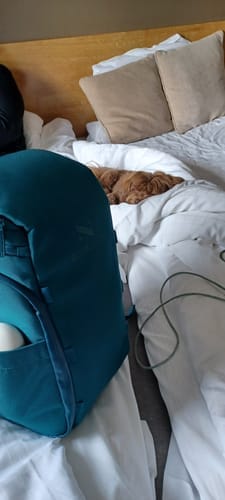 Customer photo review of The Organizer 20L