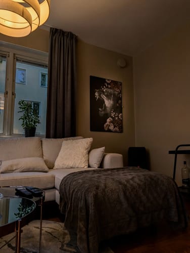 Customer's Ashoka XVI art print hanging on a beige wall above a couch in a cozy living room.