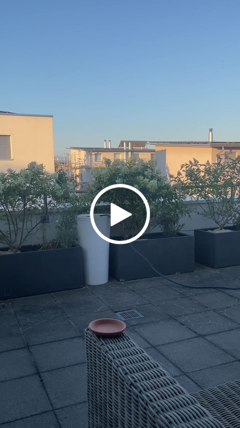 Customer video review of Boum Pro Wassertank 55 L