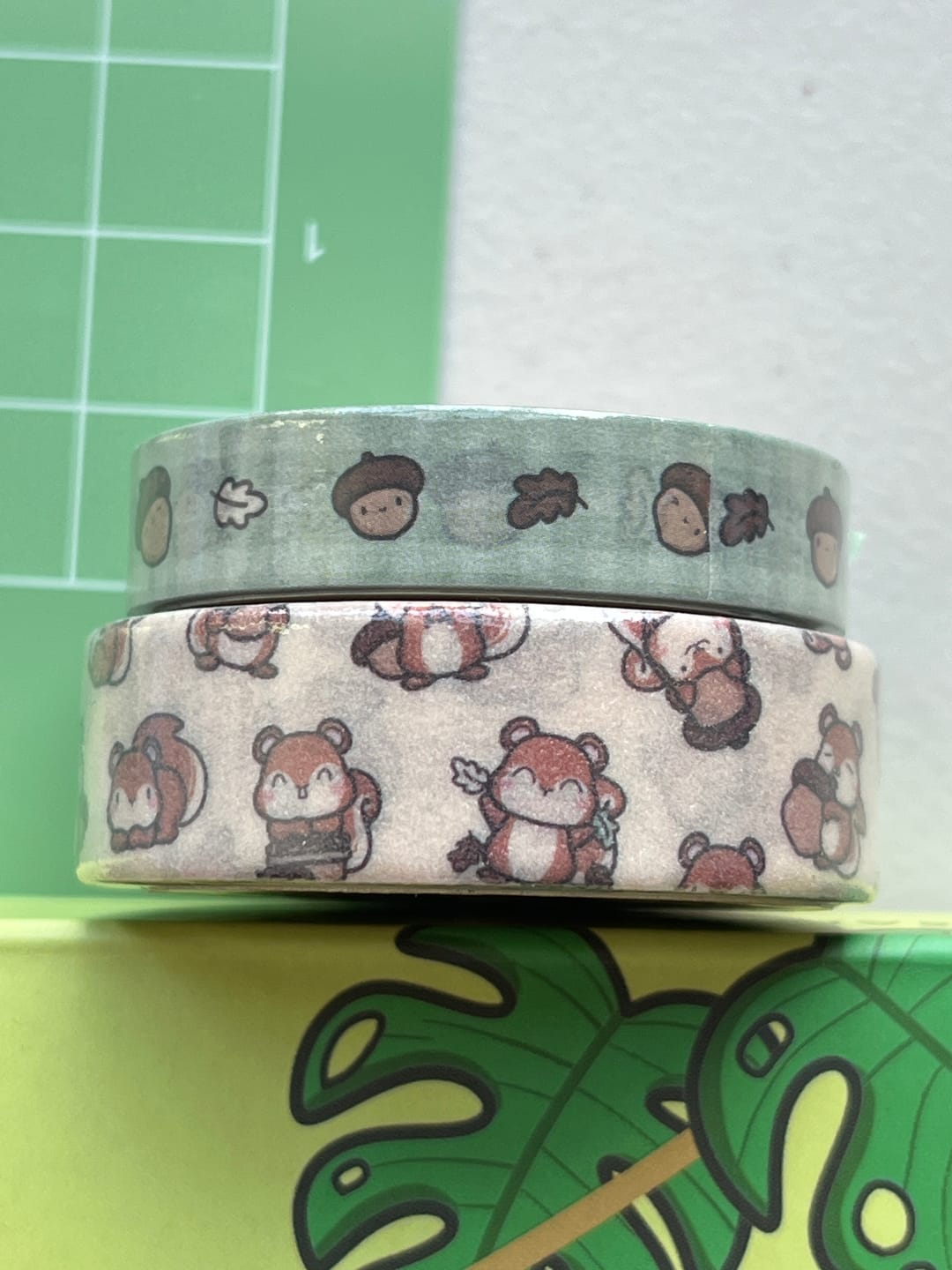 Customer photo review of Squirrelly Acorn Washi Tapes (Set of 2)