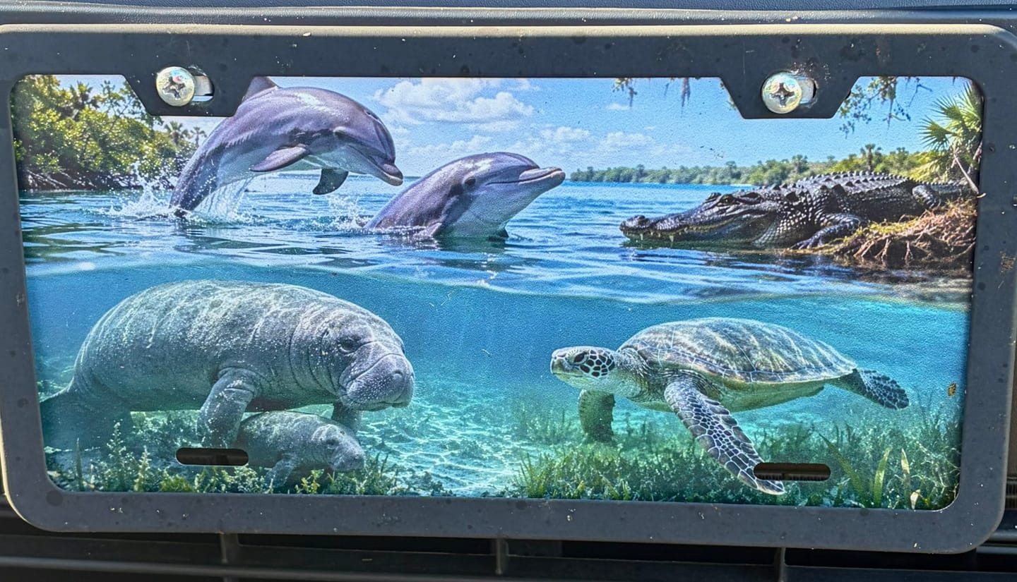 Customer photo review of Print Custom License Plate