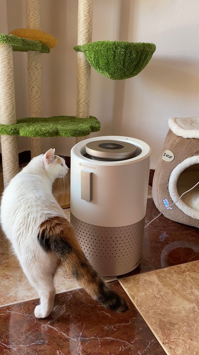 Customer photo review of Pet Air Purifier