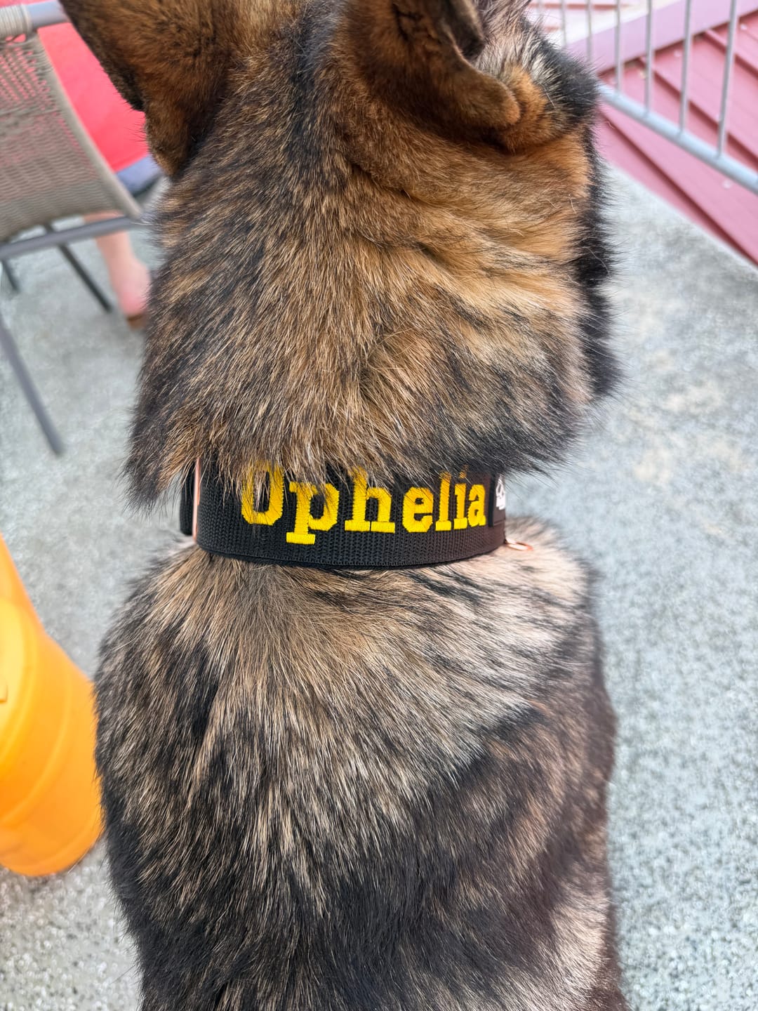 Customer photo review of Extreme Buckle med namn