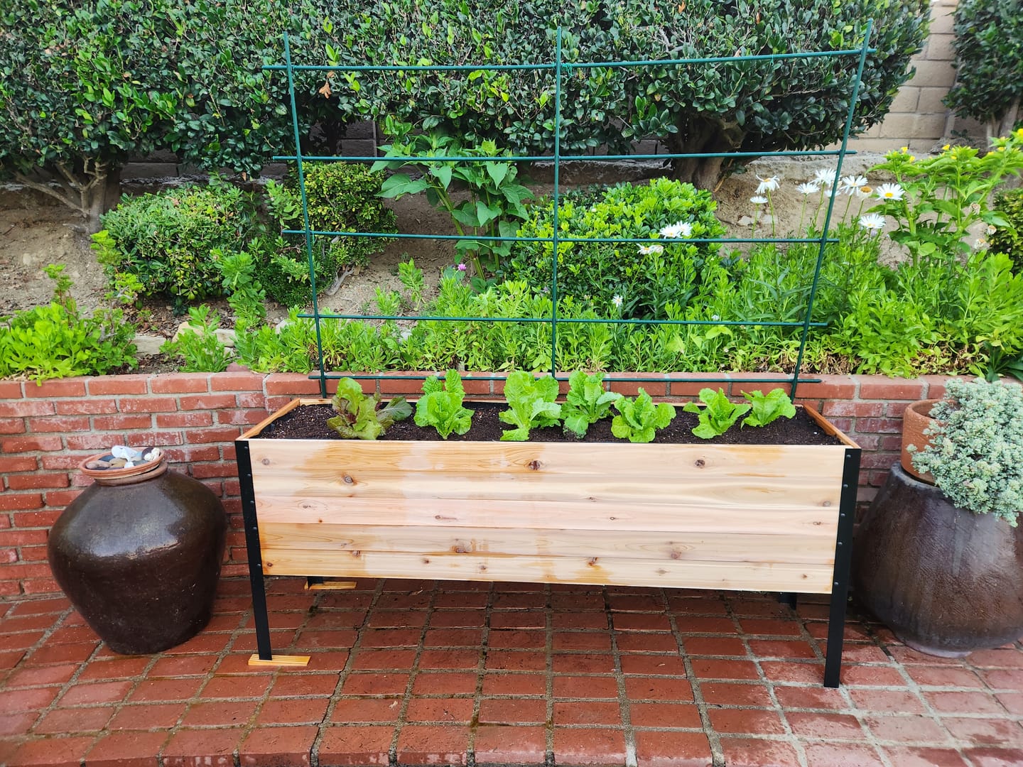 Customer photo review of 18″ x 72″ Deep Root Raised Garden Bed - 30″ TALL / Select Grade