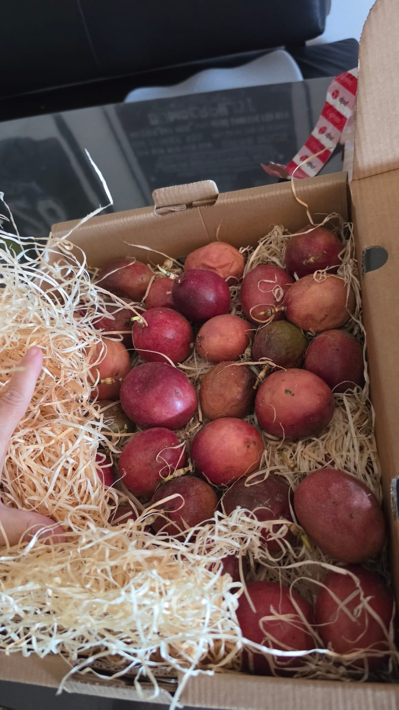 Customer photo review of Passionsfrüchte Bio von Salvador Retteraktion %