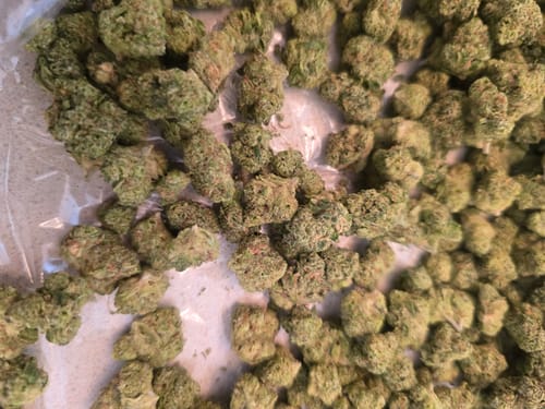 Customer's Double Dream Sativa cannabis buds, showing the smaller sized flower.