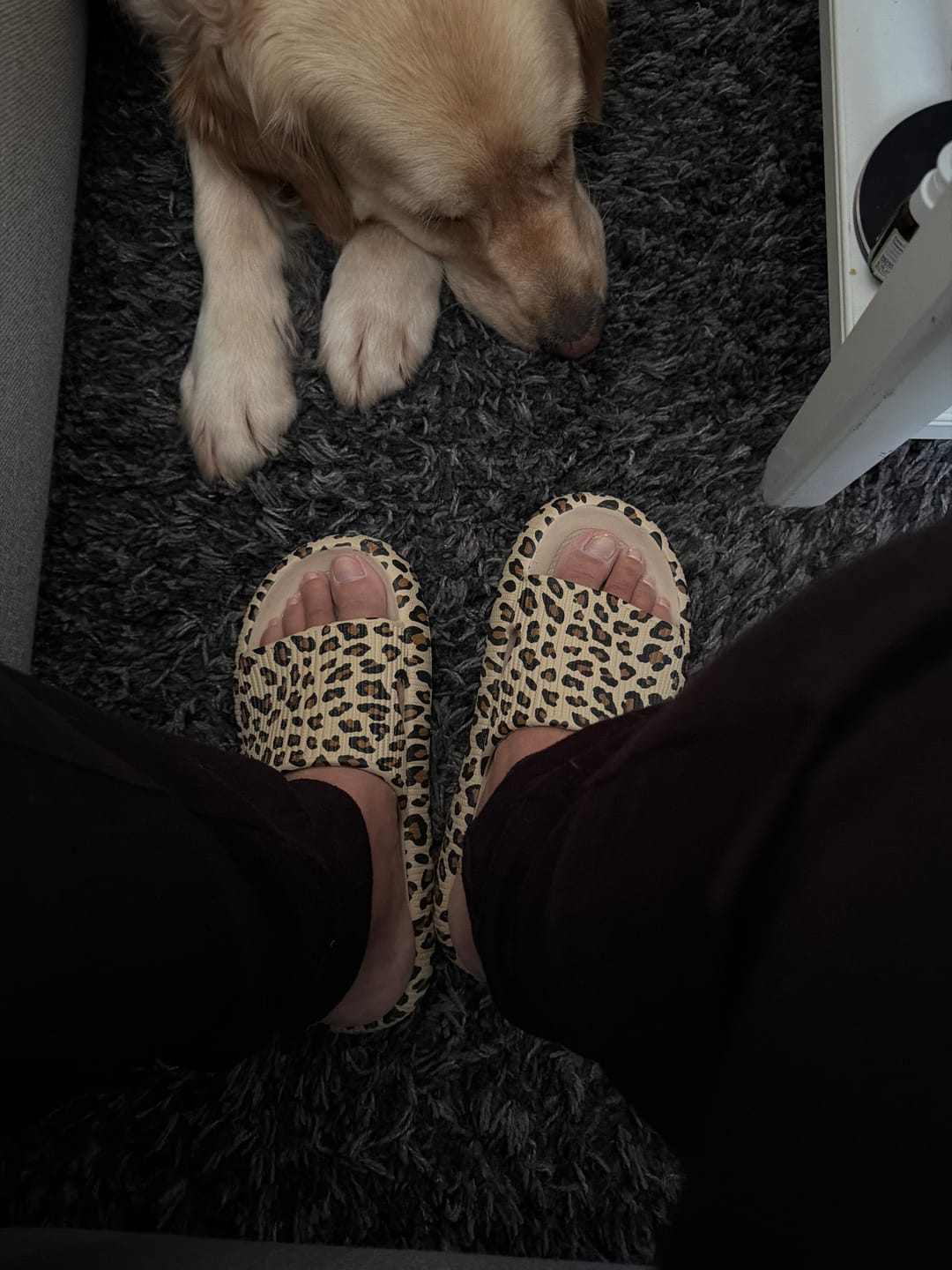 Customer photo review of HappyFlops Limited Editions
