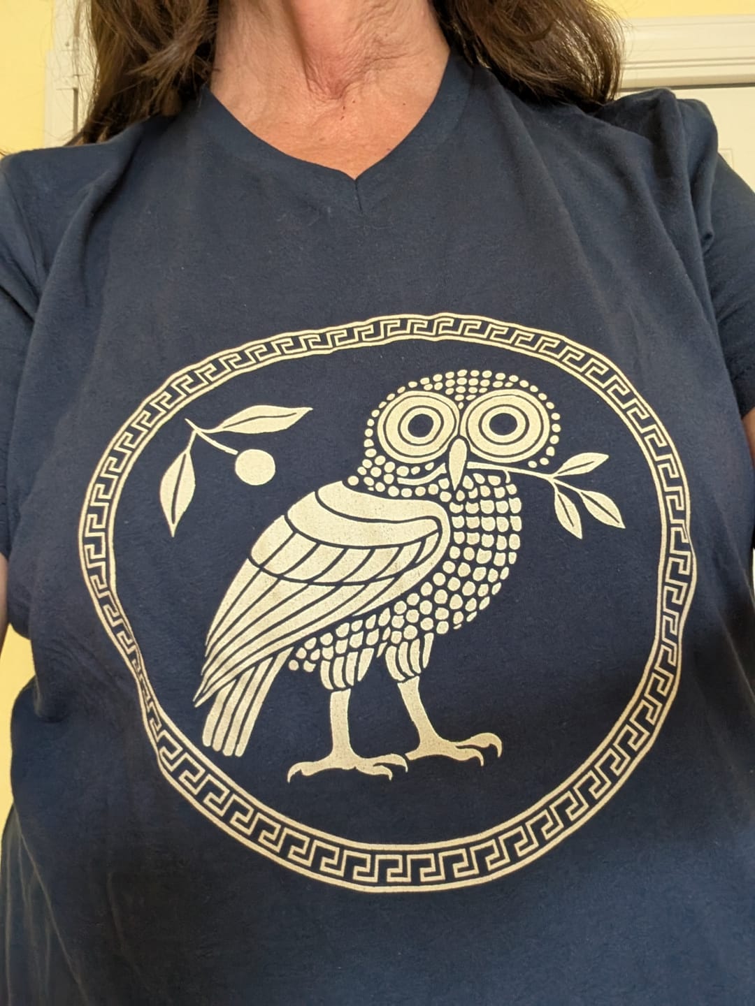 Customer photo review of Owl of Athena V-Neck