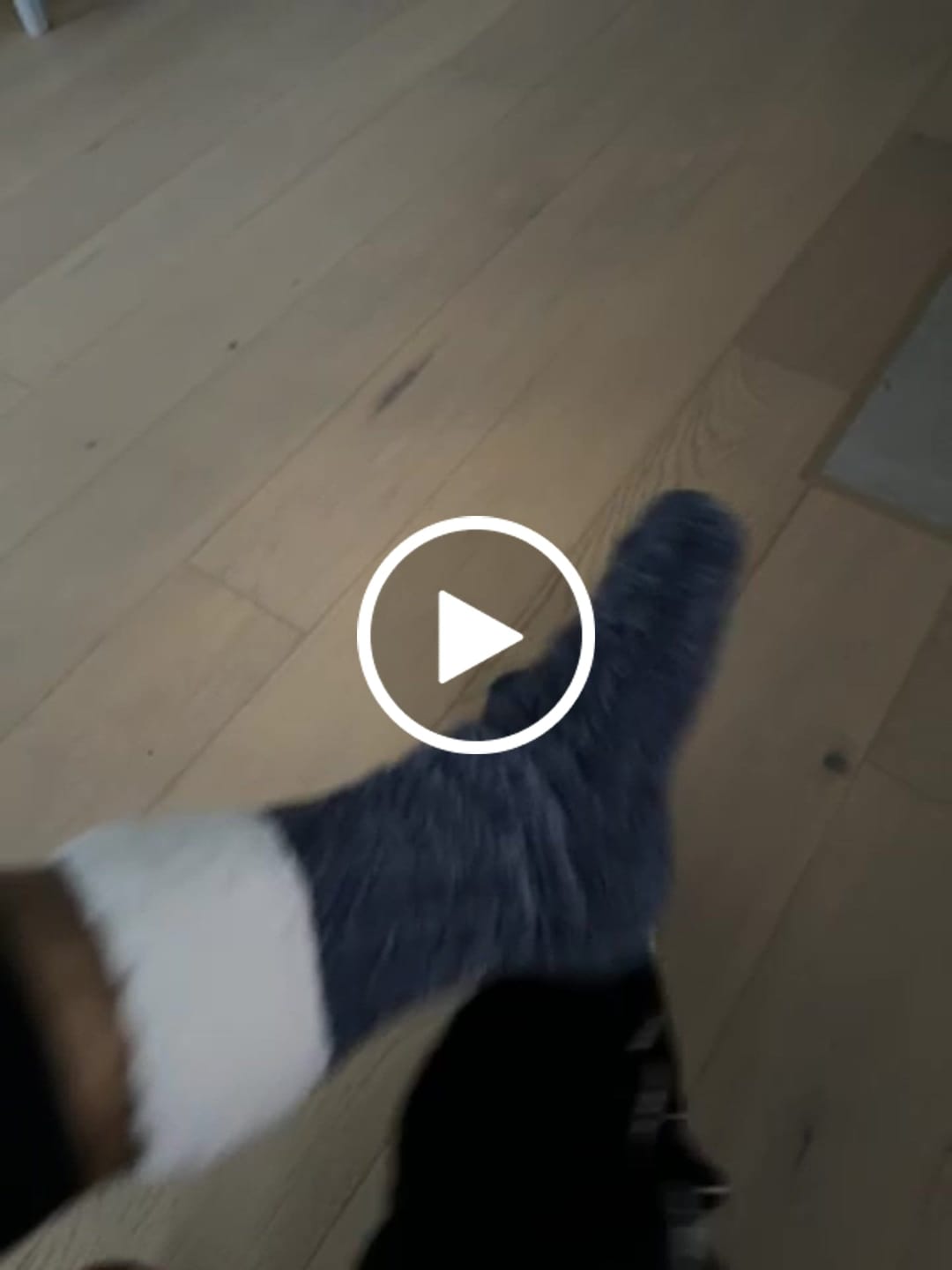 Customer video review of The Foozie™