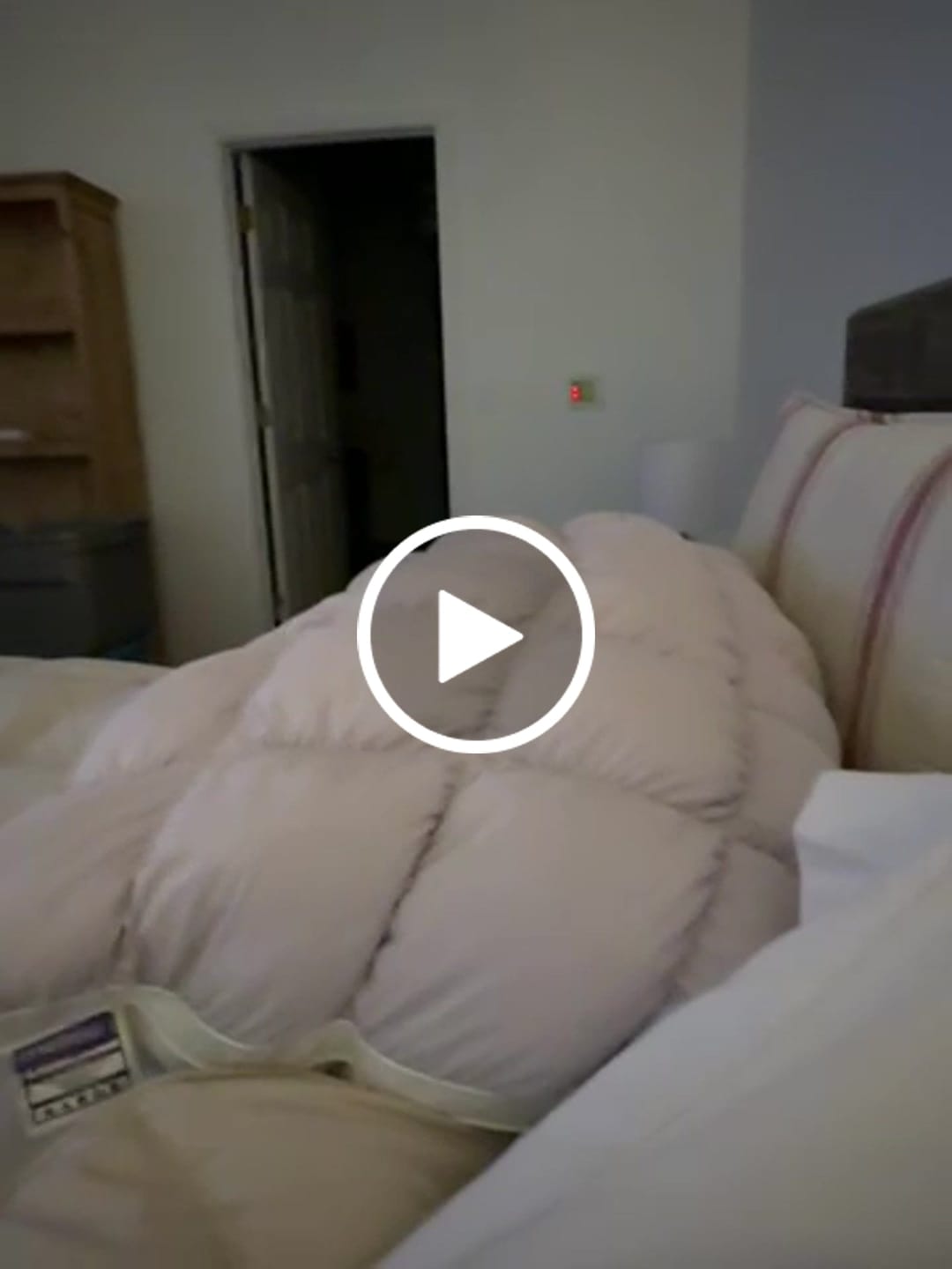 Customer video review of Puff Pillow