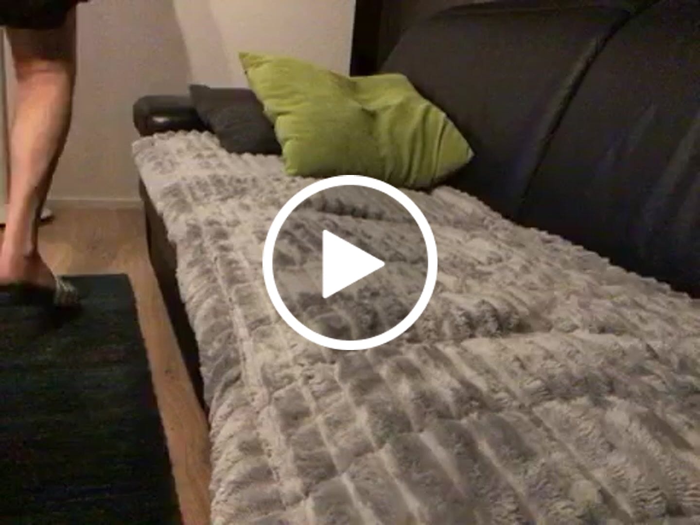 Customer video review of PetLounge I Premium Sofa-Schutz