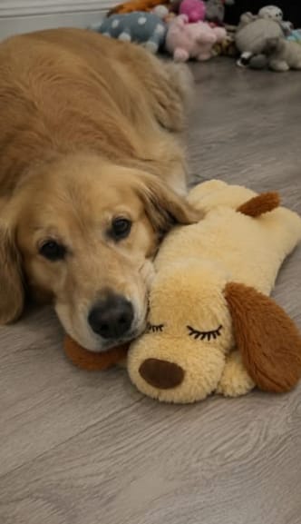 Customer photo review of Herzschlag-Kuscheltier