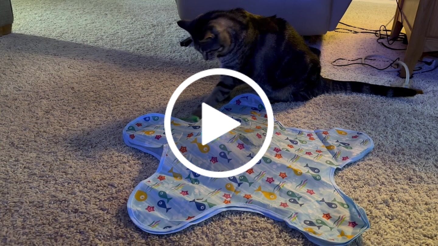 Customer video review of PEEKY TAIL 2.0
