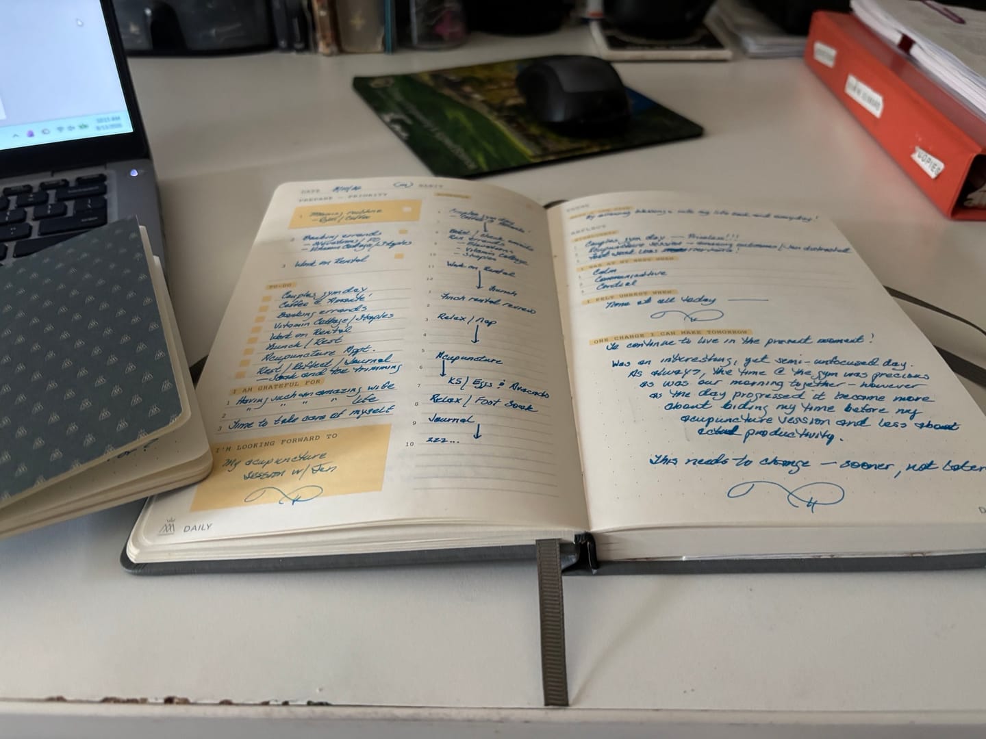 Customer photo review of Monk Manual x CFR 90 Day Planner