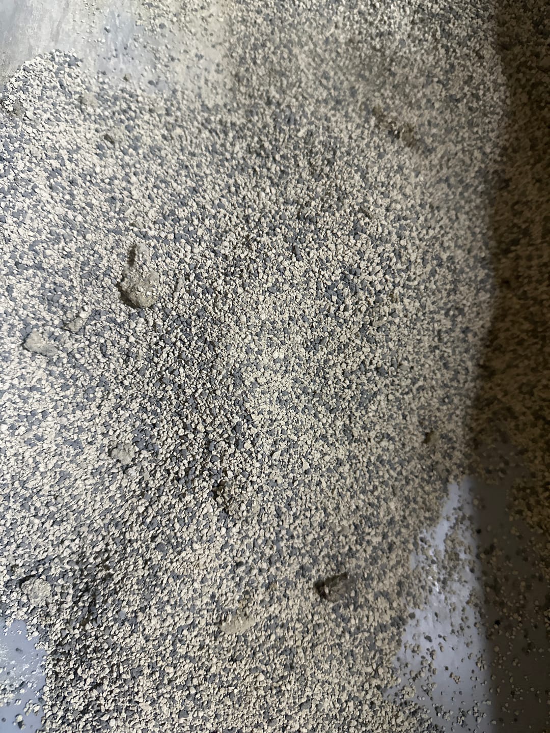 Customer photo review of Arena Minino 16kg - Carbón Activo