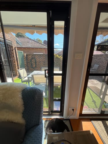 Customer photo review of Patio Pet Door Insert