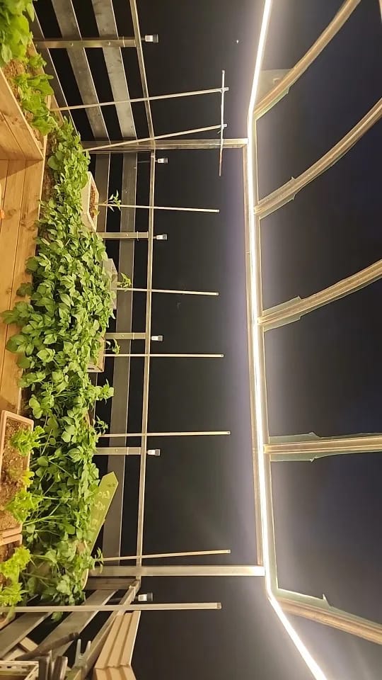 Customer photo review of Recessed Flat LED Silicone Strip Light, Indoor Outdoor Step Lighting