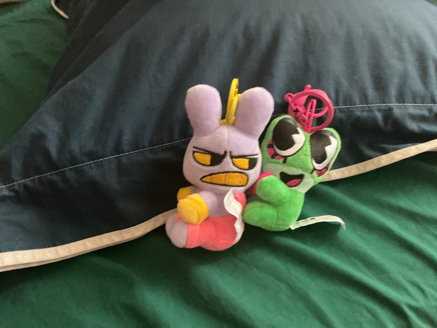 Customer photo review of Jax & Ribbit Magnetic Plush Keychains