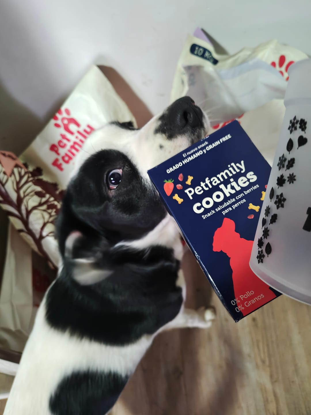 Customer photo review of PetFamily Foods Cerdo Nordico