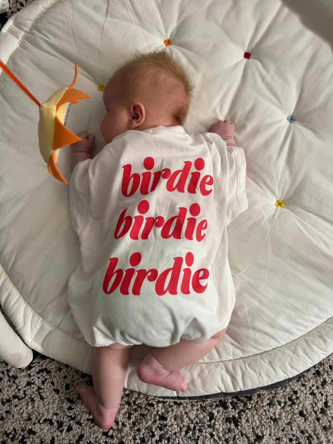 Customer photo review of Mystery Bundles