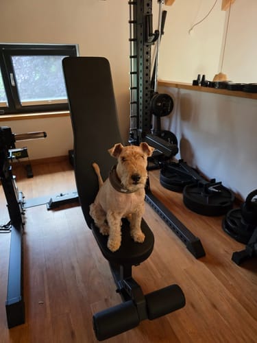 Customer photo review of B2 | Sit-Up Weight Bench Foot Handle