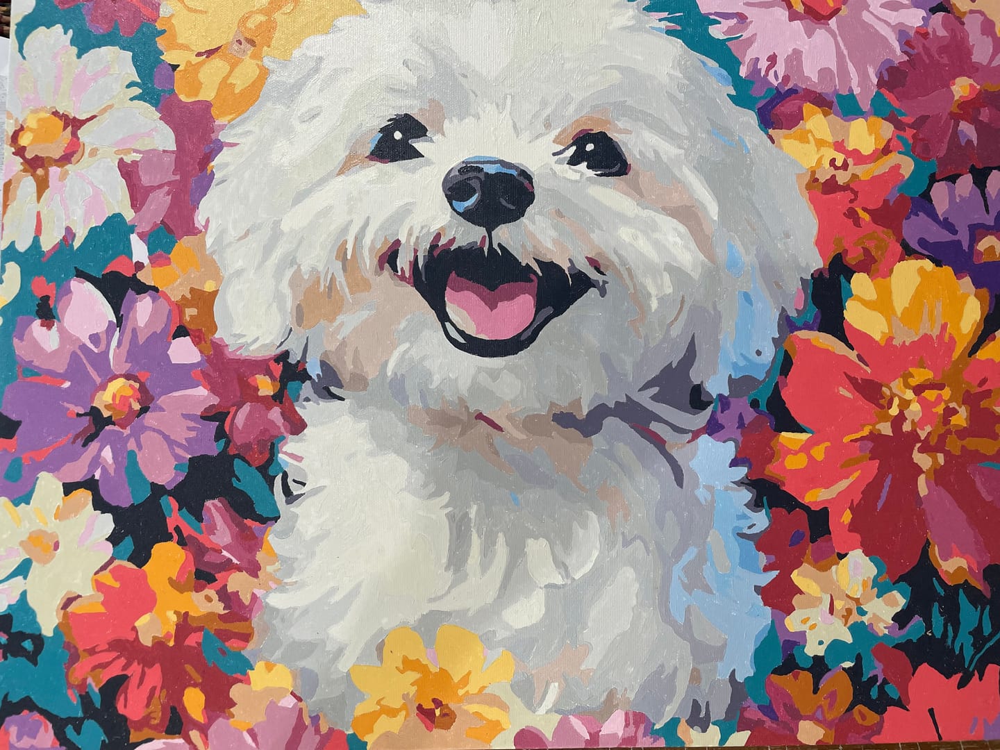 Customer photo review of Bichon Frise