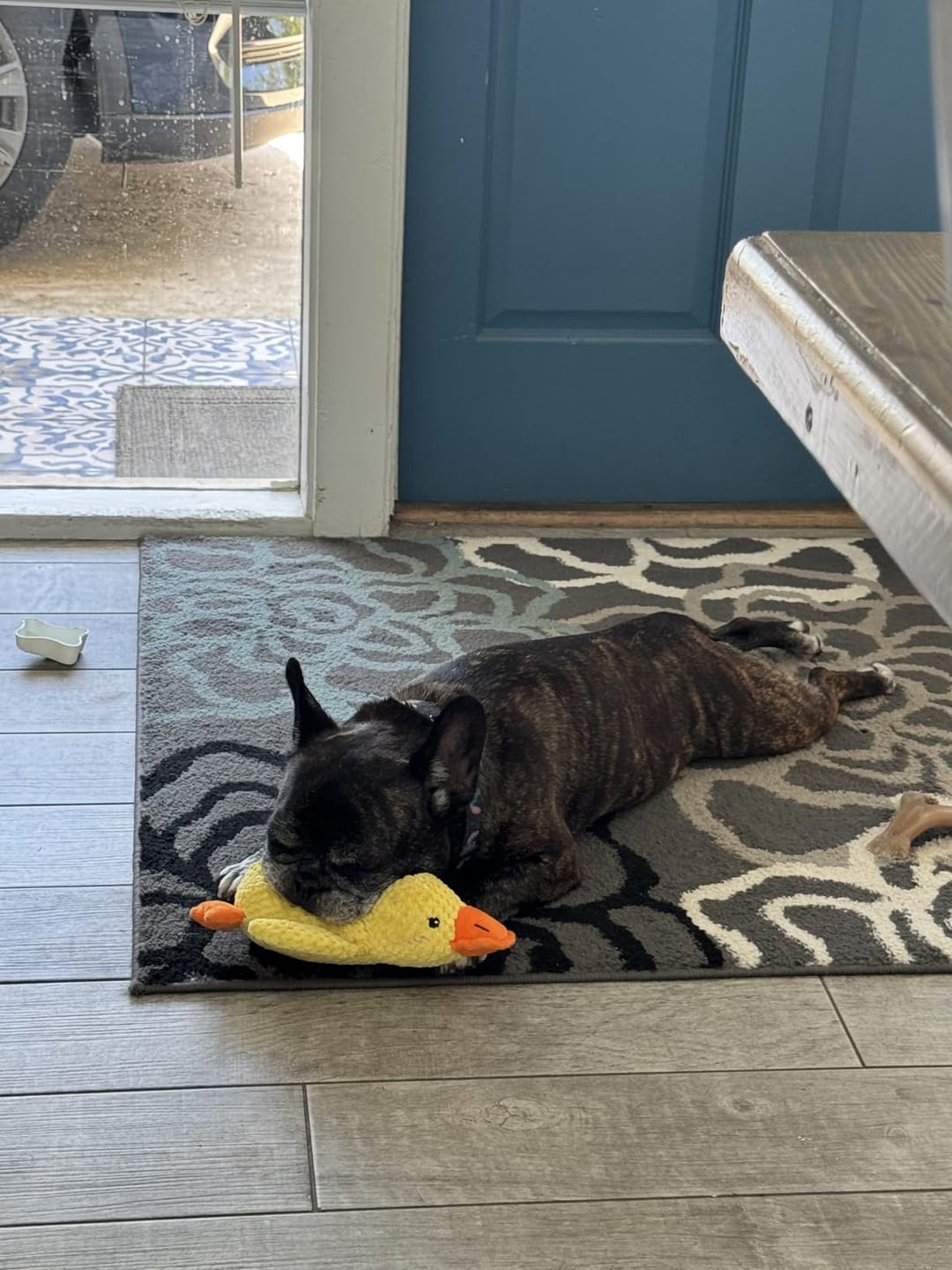 Customer photo review of Canard Anti-Stress