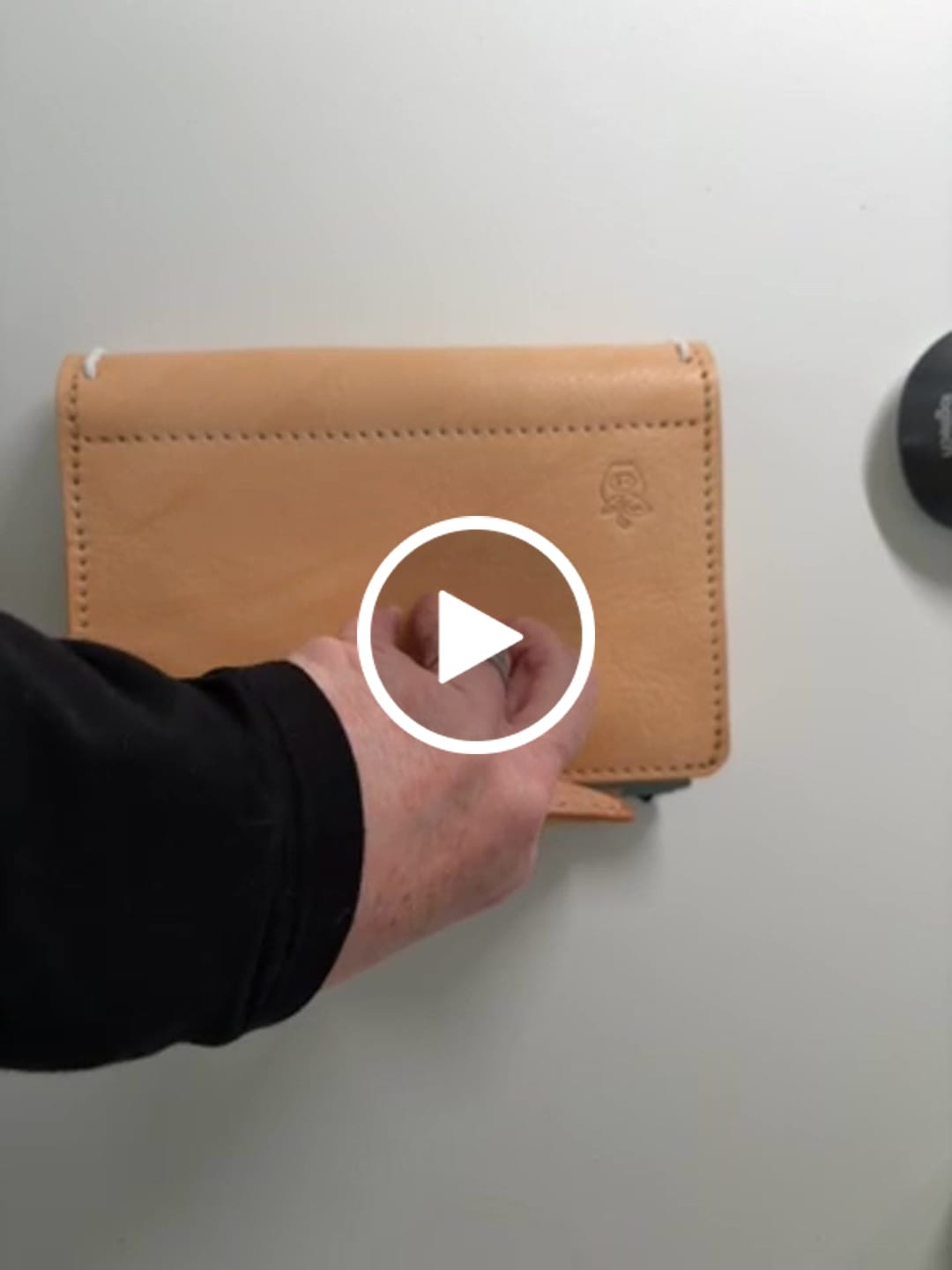 Customer video review of ApplePig Try Bag book