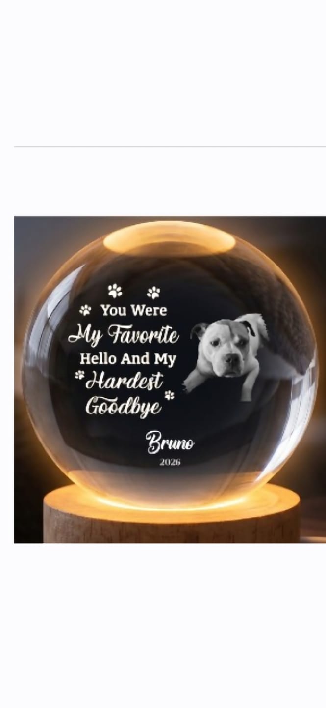 Customer photo review of Custom Pet Photo Once By My Side, Forever In My Heart - Personalized Crystal Ball LED Night Light - Pet Memorial Gift For Pet Loss