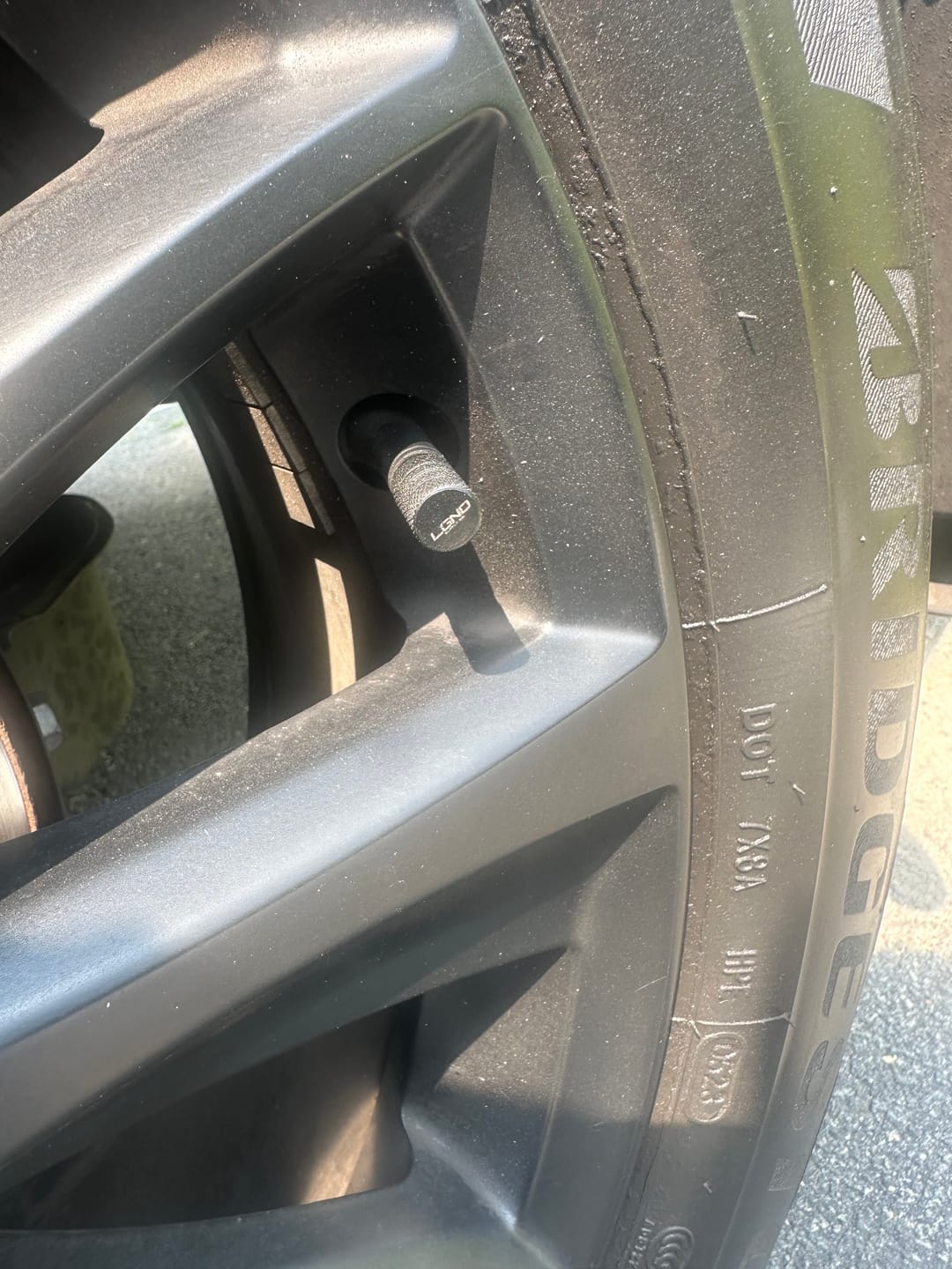 Customer photo review of License Plate Cover