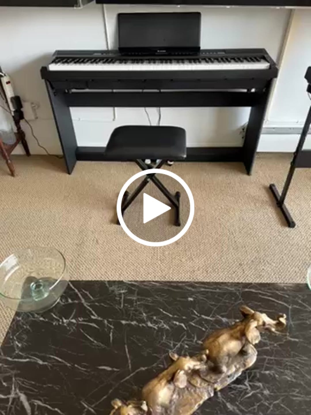 Customer video review of Donner DEP-20 Weighted Digital Piano with Stand Black/White
