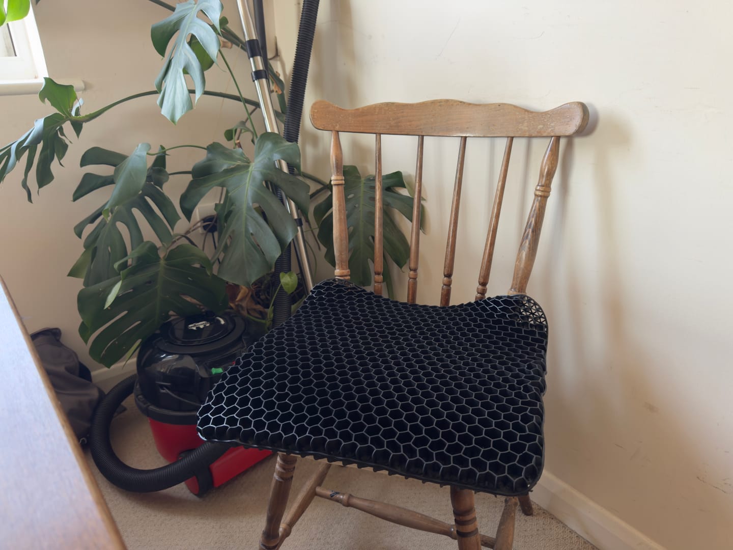 Customer photo review of Advanced Orthopaedic Pressure Relief Cushion – PLUS