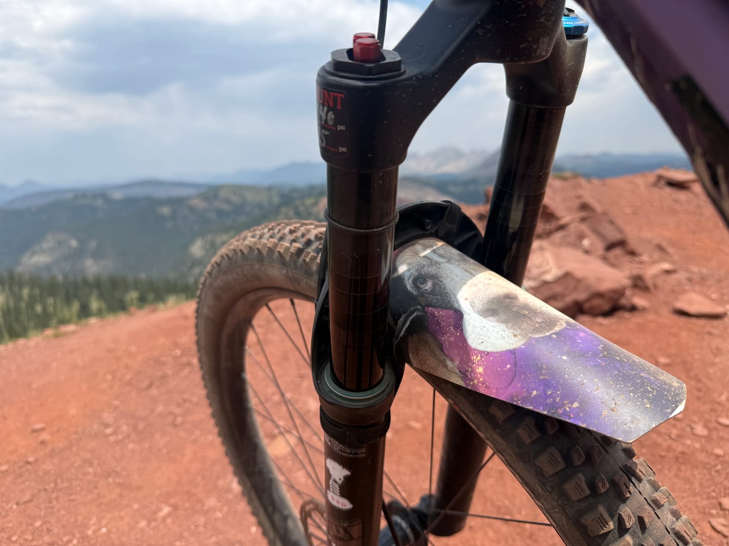 Customer photo review of Custom Fender