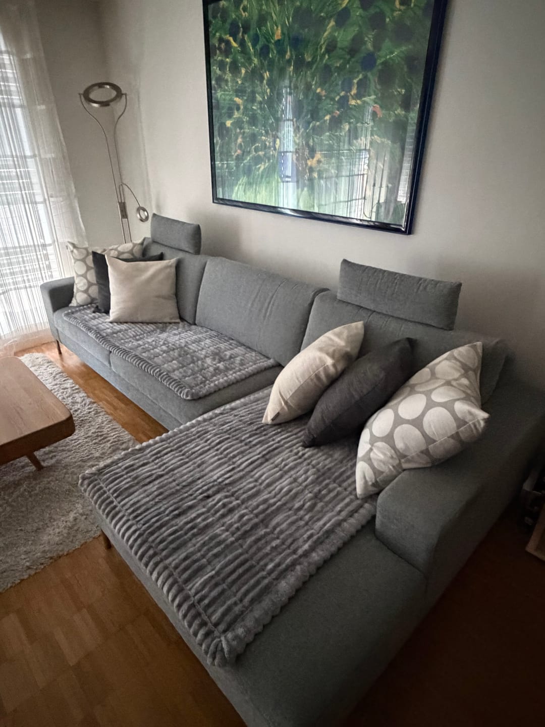 Customer photo review of PetLounge I Premium Sofa-Schutz