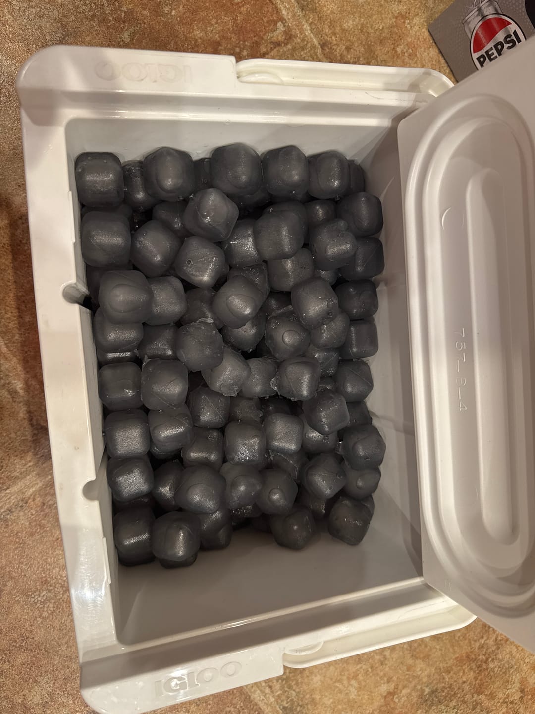 Customer photo review of The Big Sax - (XL) Reusable Ice Cubes and Bag