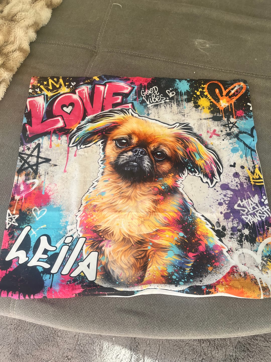 Customer photo review of Dein Haustier als Kissen - Graffiti