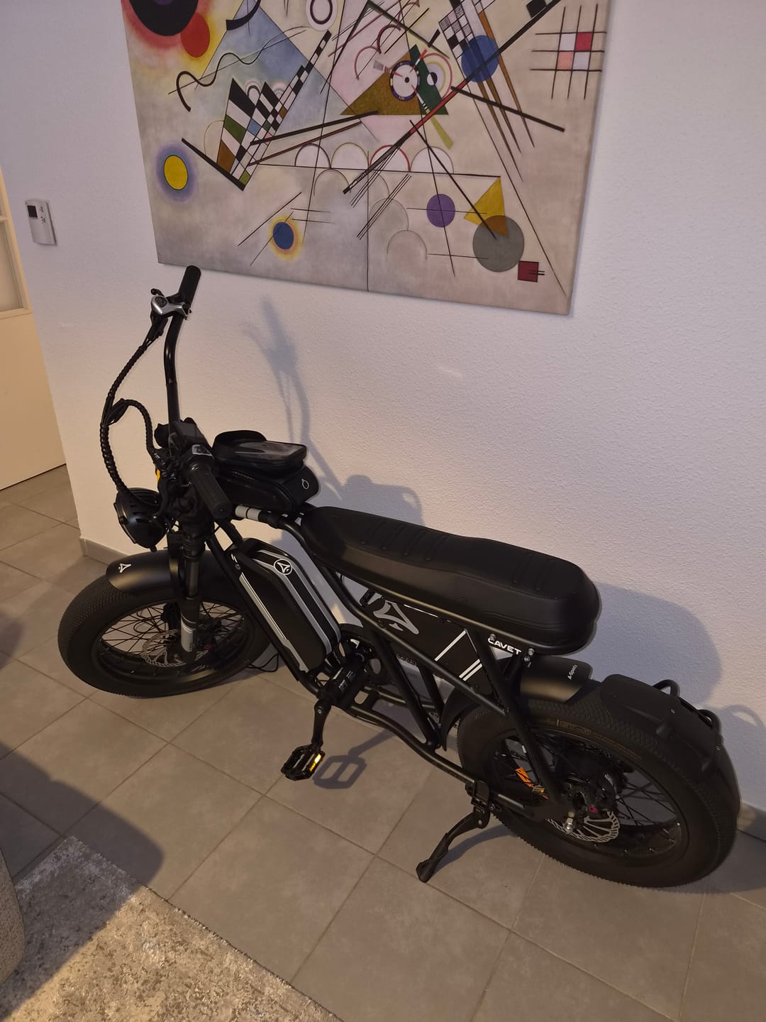 Customer photo review of Gifts Pack（Includs – Foot Peg, Fender & Chainguard!）