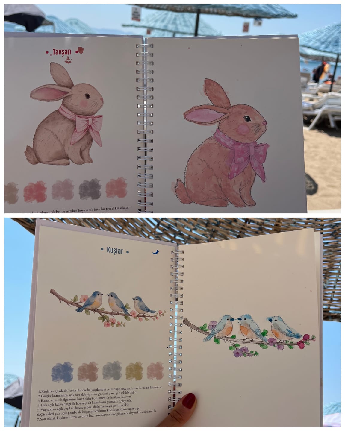 Customer photo review of Rehberli Sulu Boya Boyama Kitapları