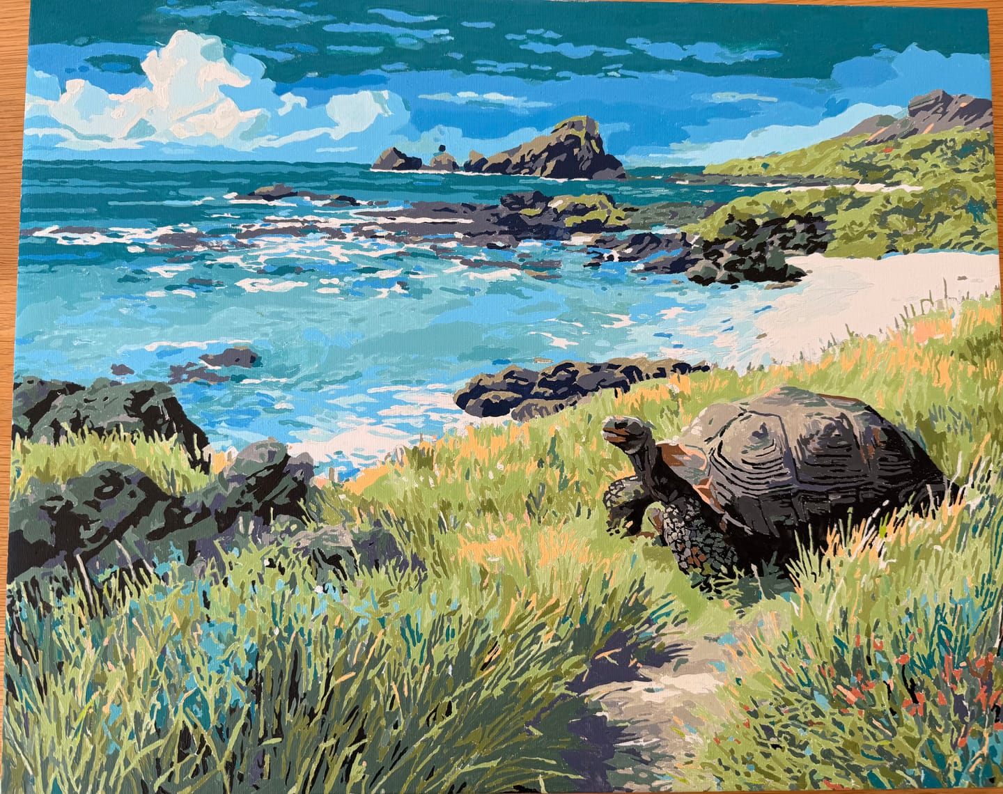 Customer photo review of Galápagos National Park