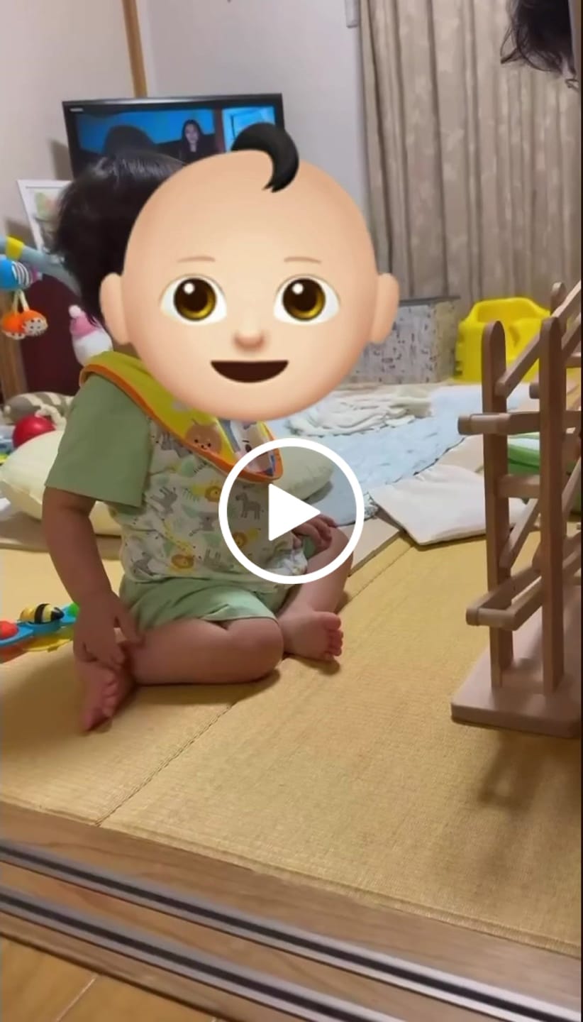 Customer video review of ころころ動物