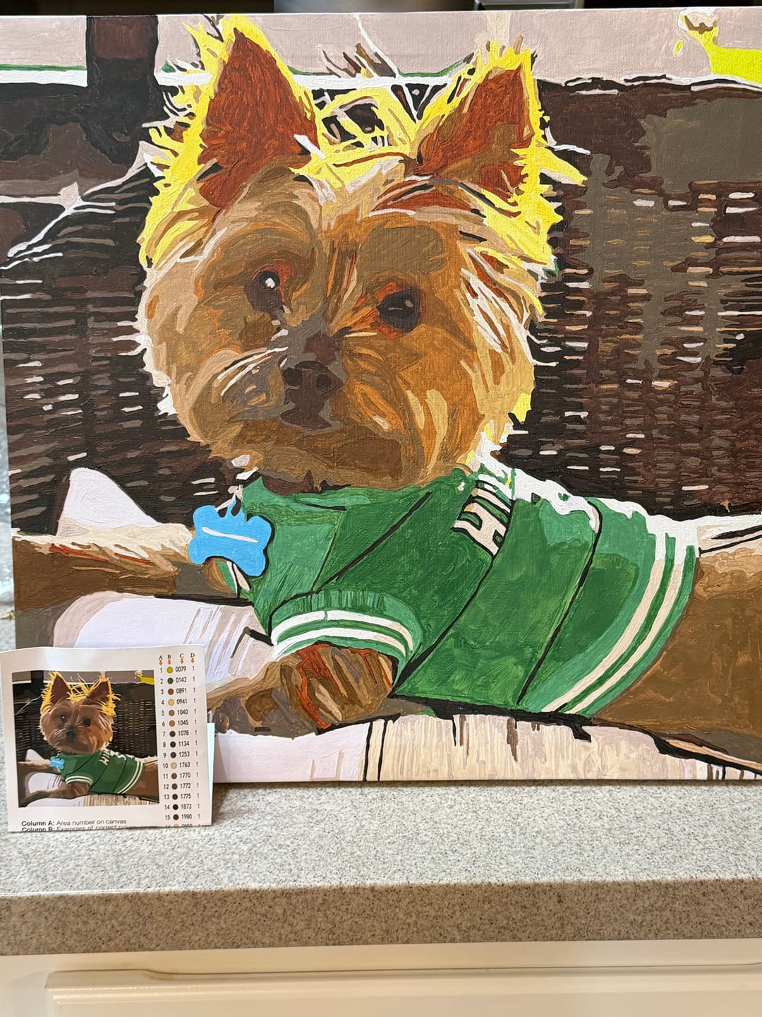 Customer photo review of Custom Paint by Numbers Kit