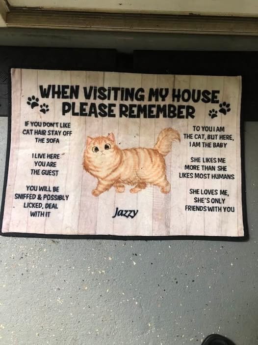 Customer photo review of Please Remember When Visiting Cats House Personalized Doormat