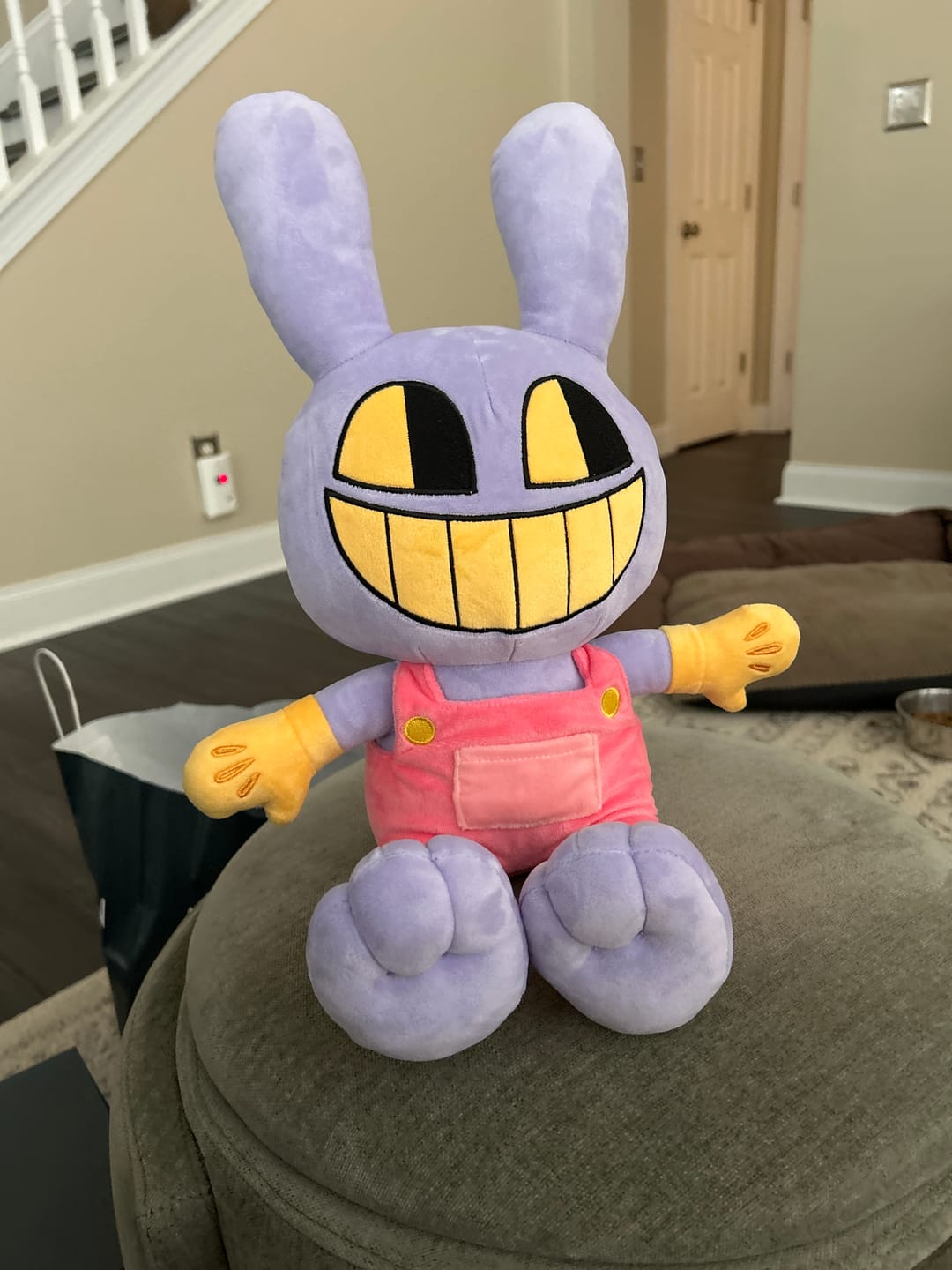 Customer photo review of Jax Plush