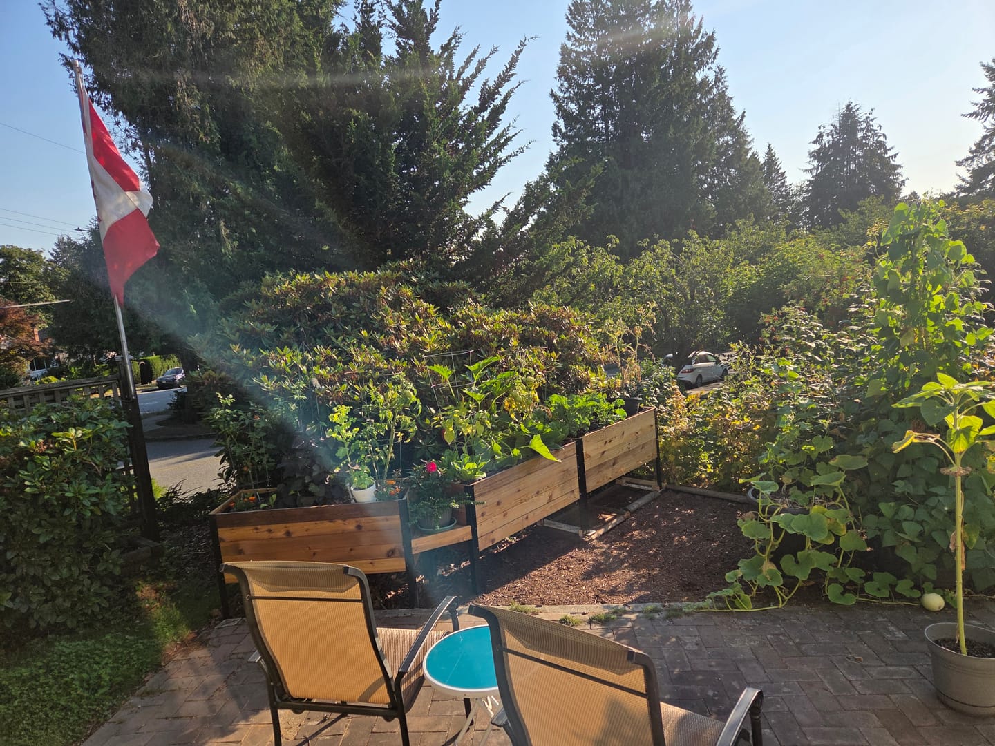 Customer photo review of 18" x 48" Raised Garden Bed - 30" TALL / Garden Grade