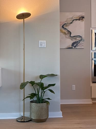 Customer photo review of Flowing Abstract Landscape