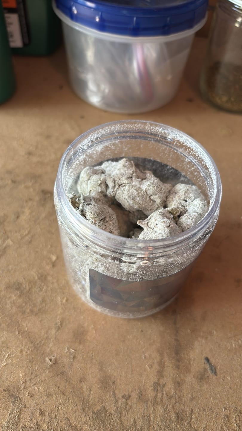 Customer photo review of Snow Capz 28 Grams