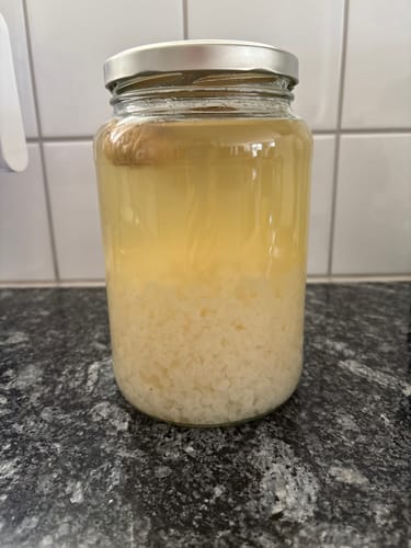 Customer's Wasserkefir Starter-Set, showing a glass jar with fermentation liquid, kefir crystals, and a floating fig.