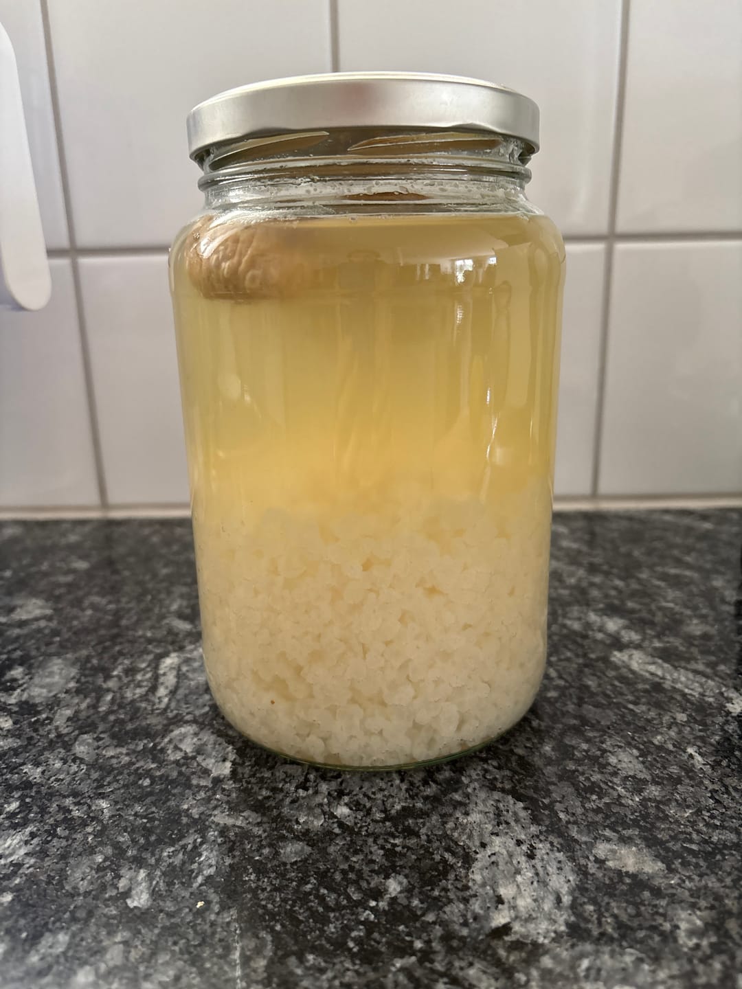 Customer photo review of Wasserkefir Starter-Set komplett Bio