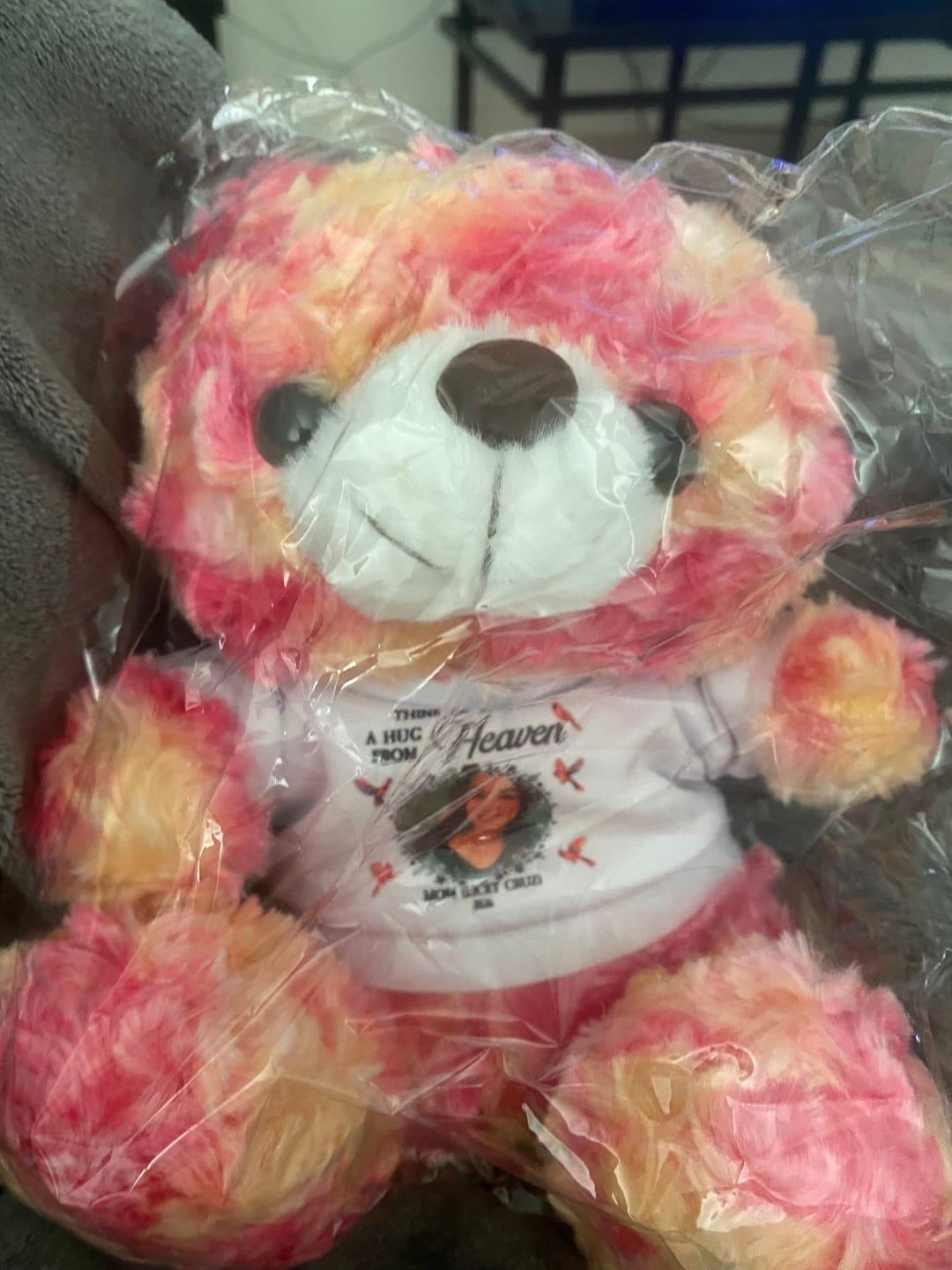 Customer photo review of Think Of This Is A Hug From Heaven - Personalized Memorial Teddy Bear