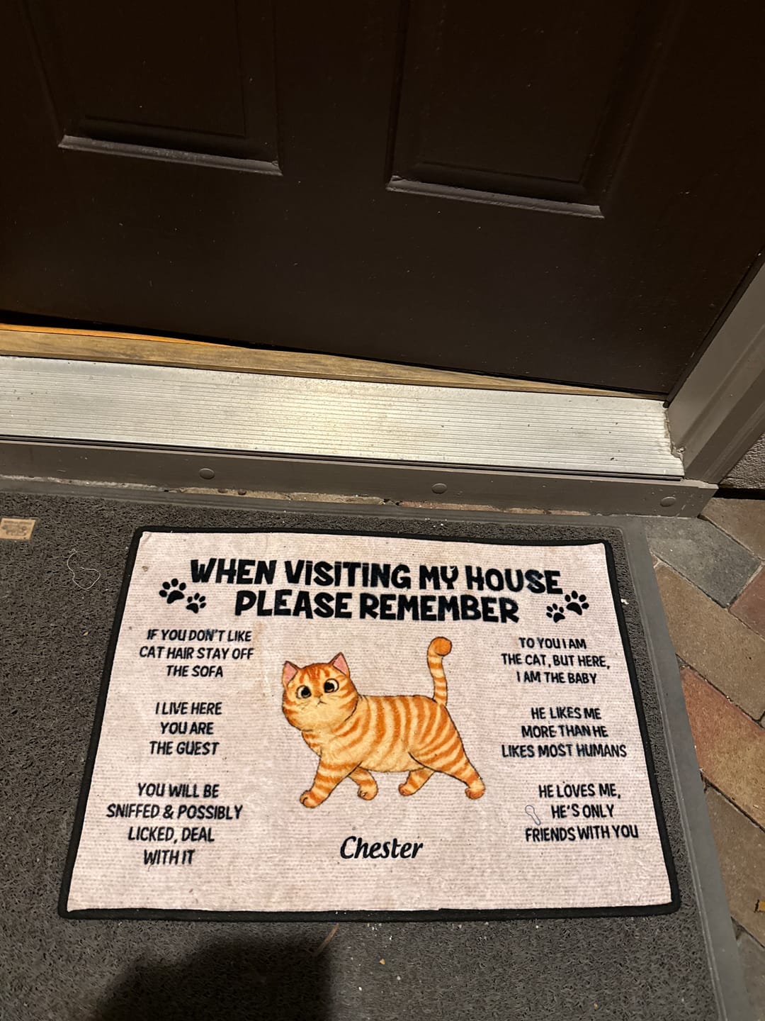 Customer photo review of Please Remember When Visiting Cats House Personalized Doormat